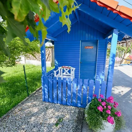 Bakhus