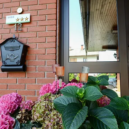 Maison d'hôtes Bakhus Zerjavka
