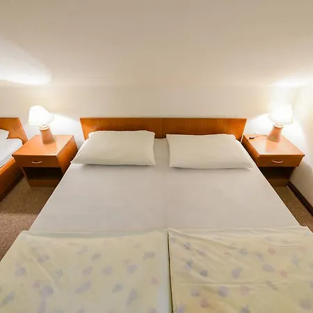 Gasthof Bakhus Zerjavka