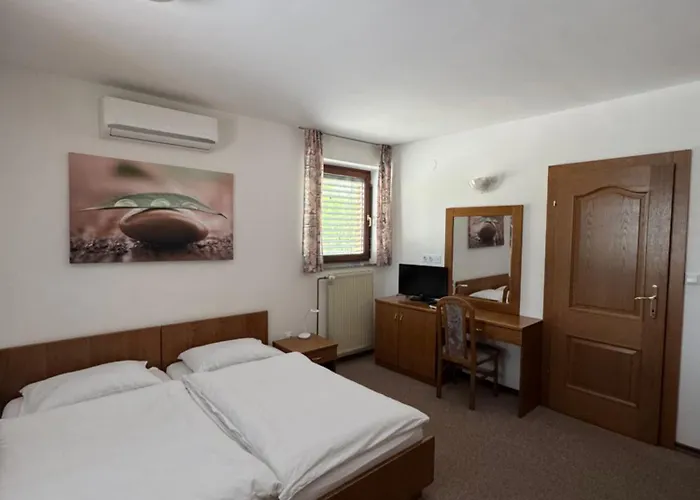 Bakhus Affittacamere Zerjavka