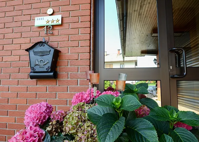 Affittacamere Bakhus Zerjavka