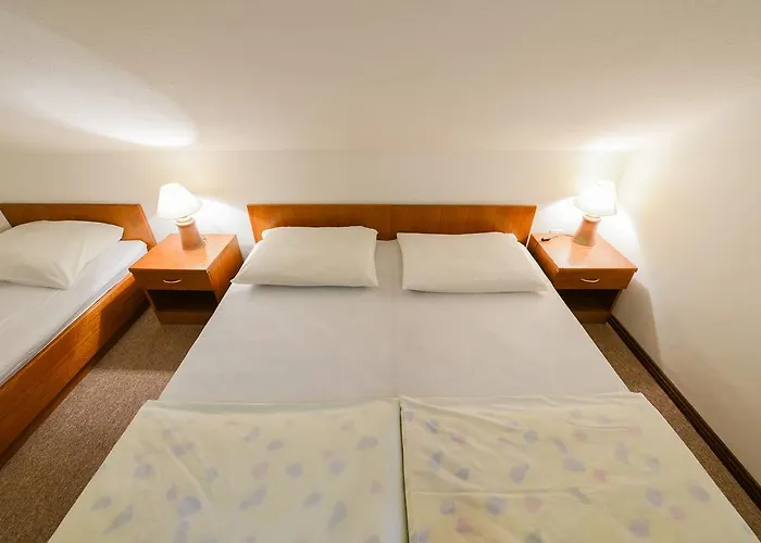 Affittacamere Bakhus Zerjavka